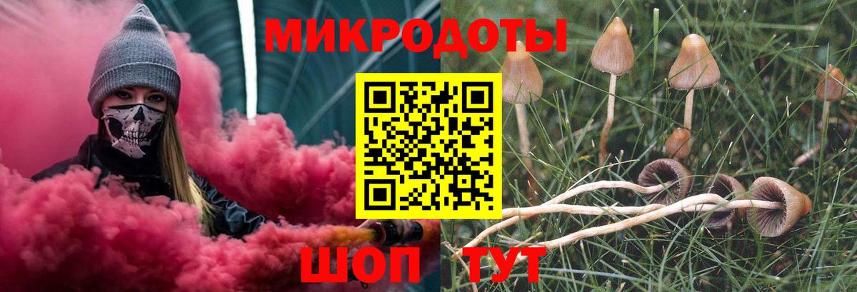 Псилоцибиновые грибы Cubensis Коряжма
